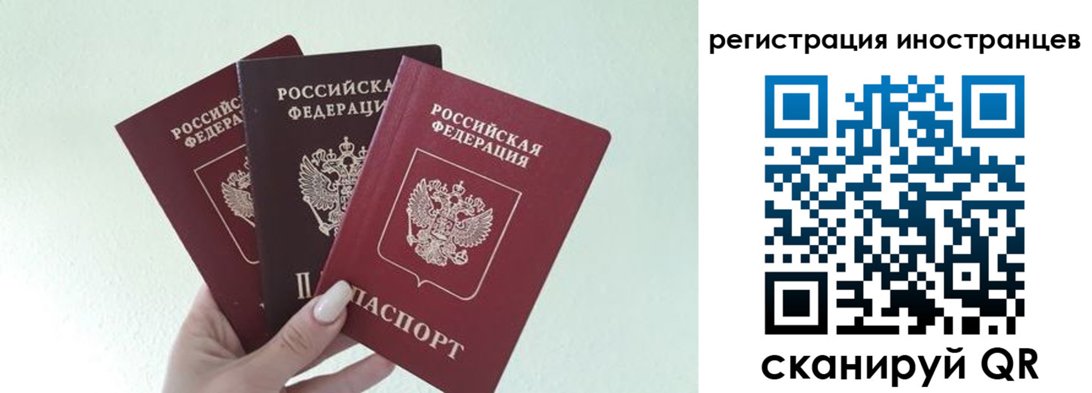 миграционный учет в Шали